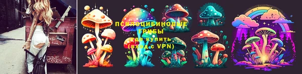 ешки Аркадак