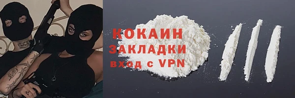 стафф Арсеньев