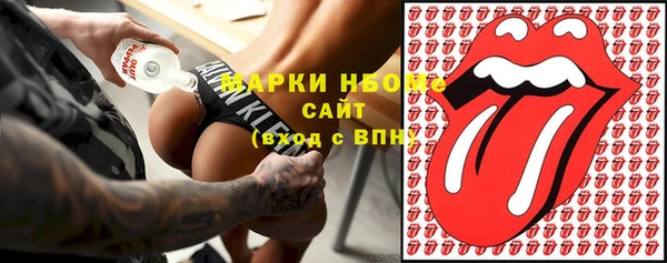стафф Арсеньев