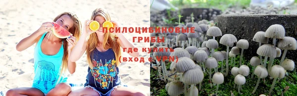 ешки Аркадак