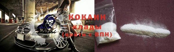 ешки Аркадак